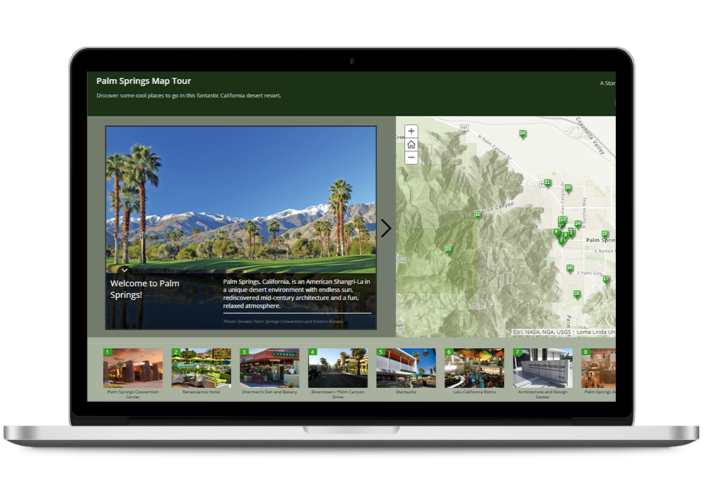 palmsprings_mockup